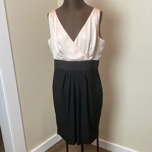 Elegant Black and Cream Pink Dress